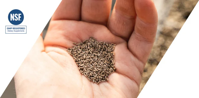High Quality Ingredients You Can Trust Part 1