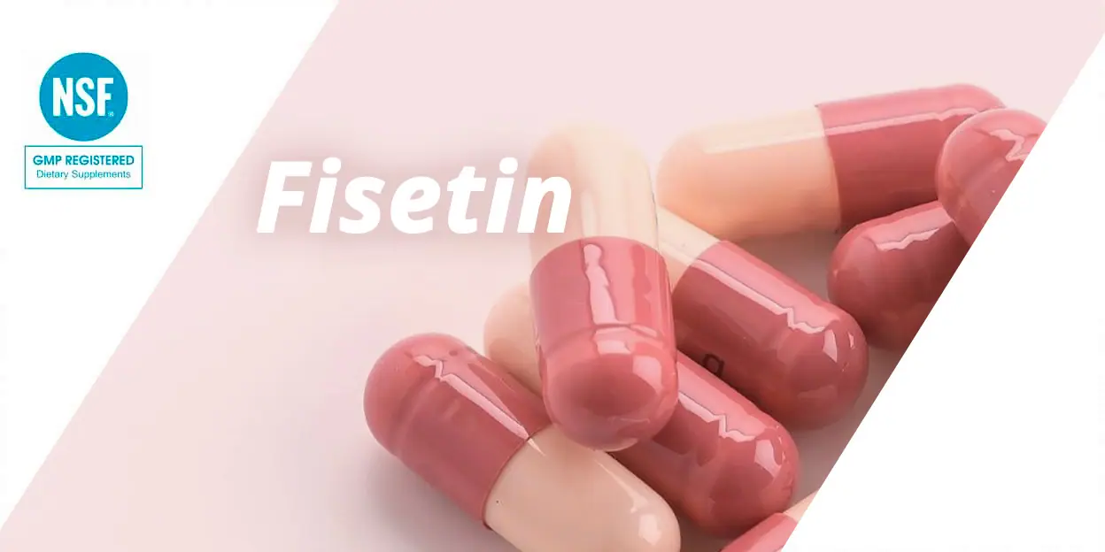 Fisetin-feature