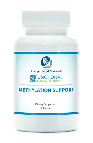 methylation-support
