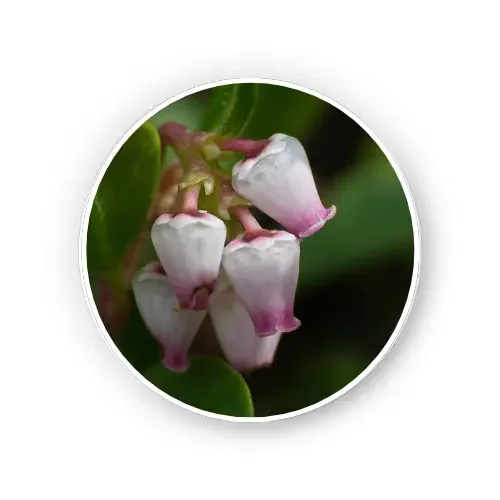 image13
