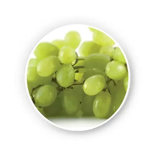 image7 personalized nutrition support